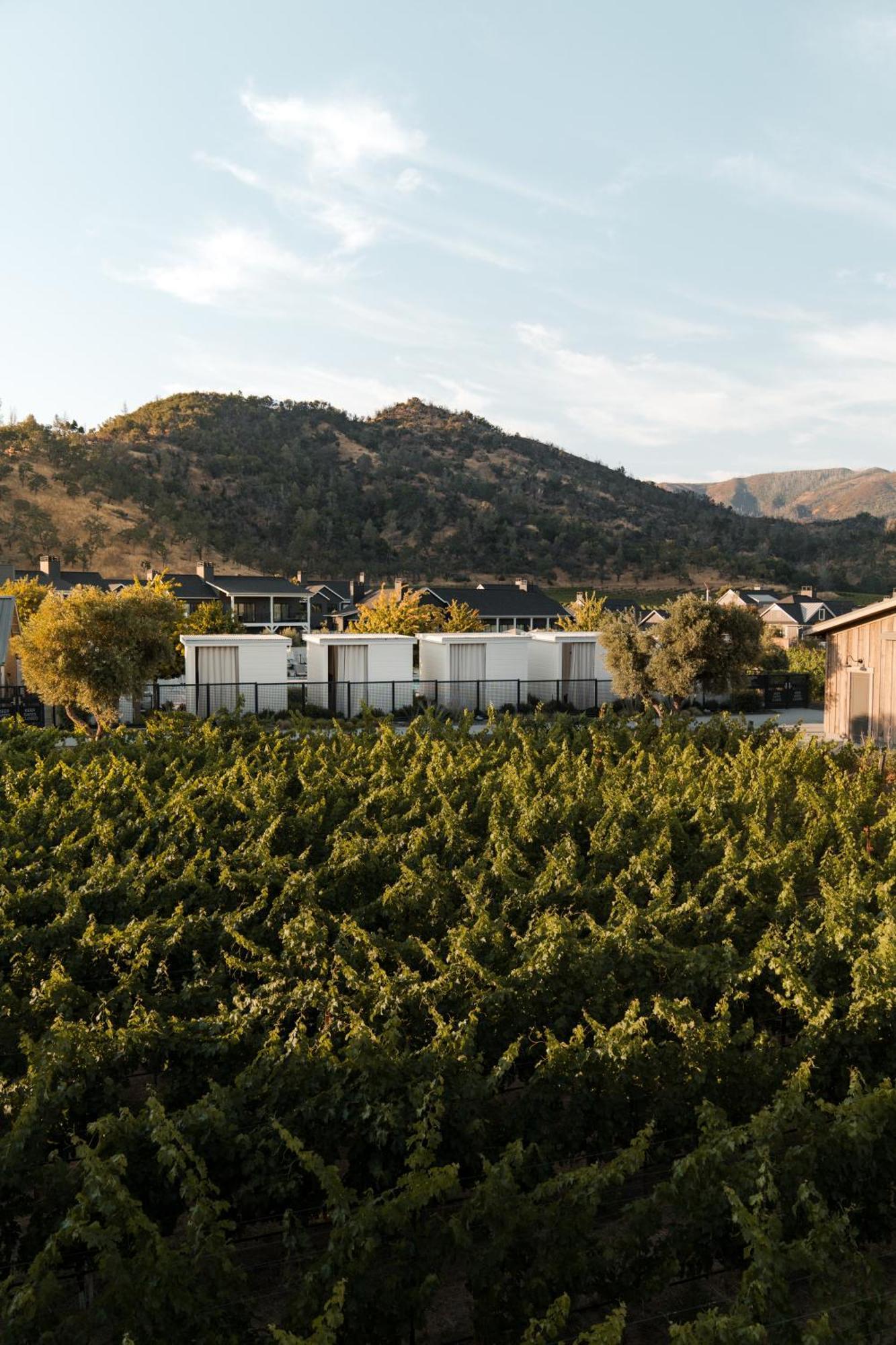 Four Seasons Resort Napa Valley Калістога Екстер'єр фото